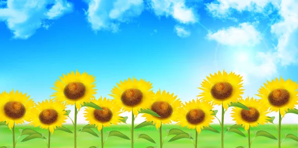 Sonnenblume Sommer Licht Landschaft Hintergrund — Stockvektor