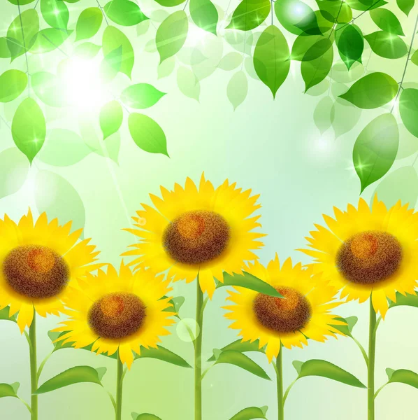Latar Belakang Lanskap Cahaya Musim Panas Bunga Matahari - Stok Vektor