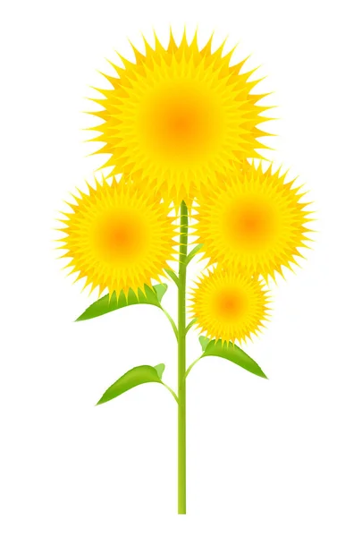 向日葵夏季黄色图标 — 图库矢量图片