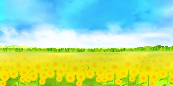 Sonnenblume Sommer Himmel Landschaft Hintergrund — Stockvektor