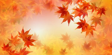 Sonbahar yaprakları akçaağaç sonbahar arkaplanı