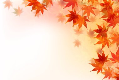 Sonbahar yaprakları akçaağaç sonbahar arkaplanı