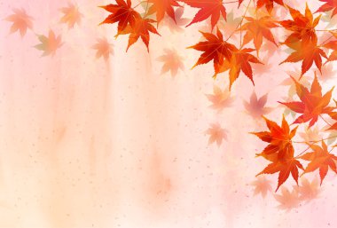 Sonbahar yaprakları akçaağaç sonbahar arkaplanı