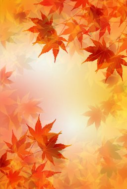 Sonbahar yaprakları akçaağaç sonbahar arkaplanı