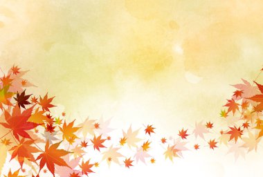 Sonbahar yaprakları akçaağaç sonbahar arkaplanı