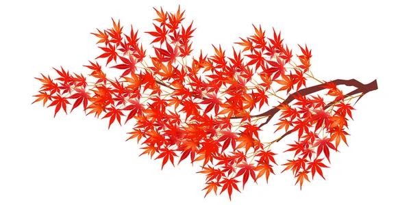 Herbst Blätter Ahorn Herbst Symbol — Stockvektor