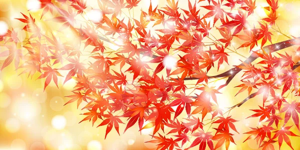 Autumn Leaves Maple Autumn Background — Stock Vector