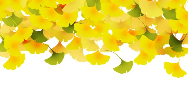 Hojas Otoño Ginkgo Fondo Otoño — Vector de stock