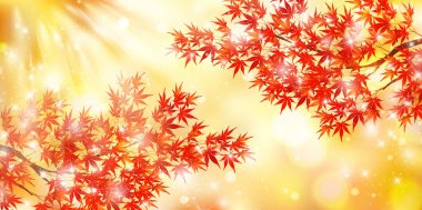 Sonbahar yaprakları akçaağaç sonbahar arkaplanı