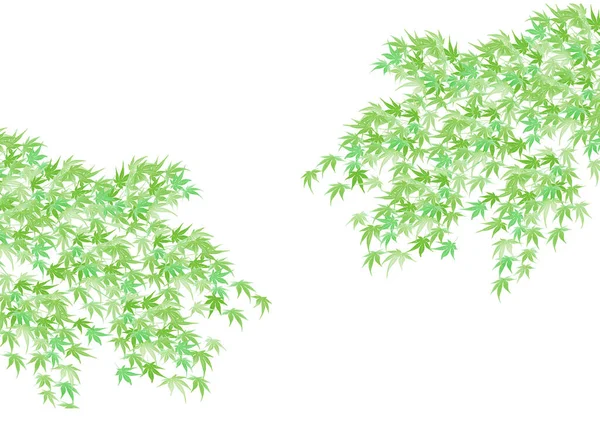 メープル新鮮な緑の夏のグリーティングカードの背景 — ストックベクタ