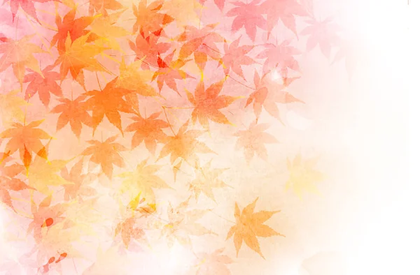 Otoño Hojas Arce Fondo Otoño — Vector de stock