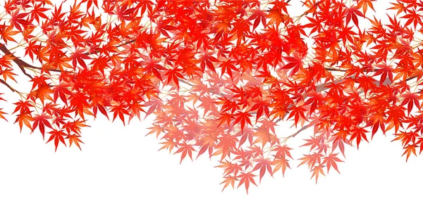 紅葉紅葉の背景 — ストックベクタ