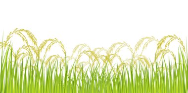 Rice rice plant Agriculture background clipart