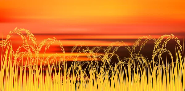 Riz Plante Riz Contexte Agricole — Image vectorielle