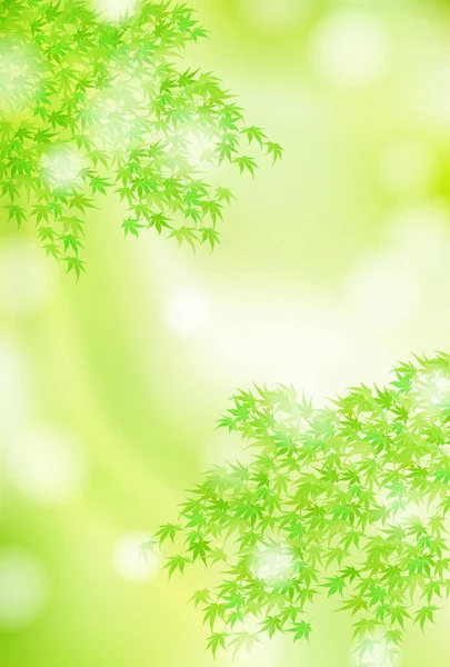Čerstvý Zelený Javor Letní Pozdrav Karty Pozadí — Stockový vektor