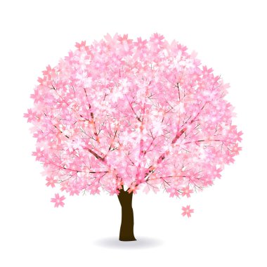 Kiraz çiçeği bahar çiçeği ikonu