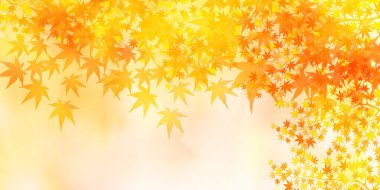 Sonbahar yaprakları akçaağaç sonbahar arkaplanı