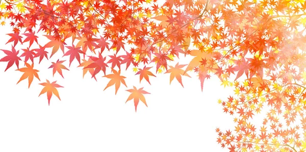 Otoño Hojas Arce Fondo Otoño — Vector de stock