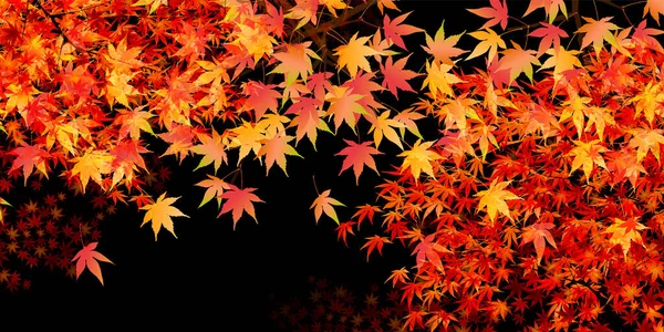 Autumn Leaves Maple Watercolor Japanese Paper Background — Stock Vector