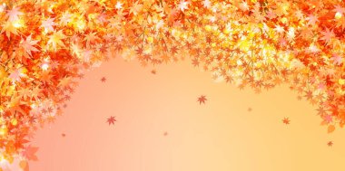 Sonbahar yaprakları akçaağaç sonbahar arkaplanı