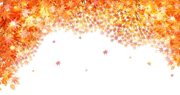 ใบไม วงท นหล งฤด ใบไม วงเมเป — ภาพเวกเตอร์สต็อก