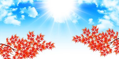 Sonbahar yaprakları akçaağaç sonbahar arkaplanı