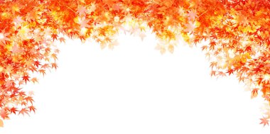 Sonbahar yaprakları akçaağaç sonbahar arkaplanı