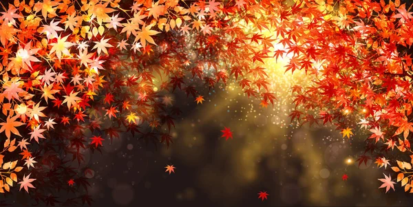 Otoño Hojas Arce Fondo Otoño — Vector de stock