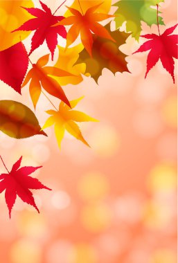 Sonbahar yaprakları akçaağaç sonbahar arkaplanı