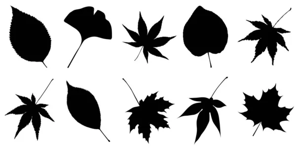 Herbst Blätter Ahorn Herbst Symbol — Stockvektor