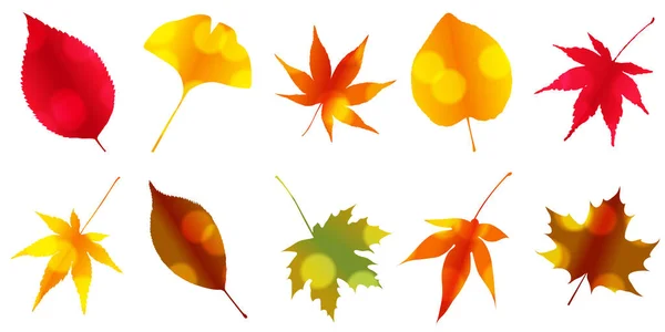 Otoño Hojas Arce Icono Otoño — Vector de stock