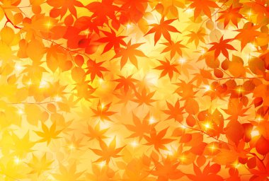 Sonbahar yaprakları akçaağaç sonbahar arkaplanı