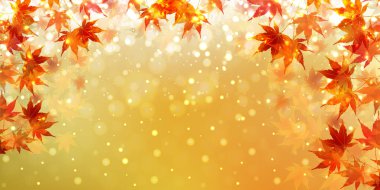 Sonbahar yaprakları akçaağaç sonbahar arkaplanı