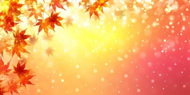 Sonbahar yaprakları akçaağaç sonbahar arkaplanı