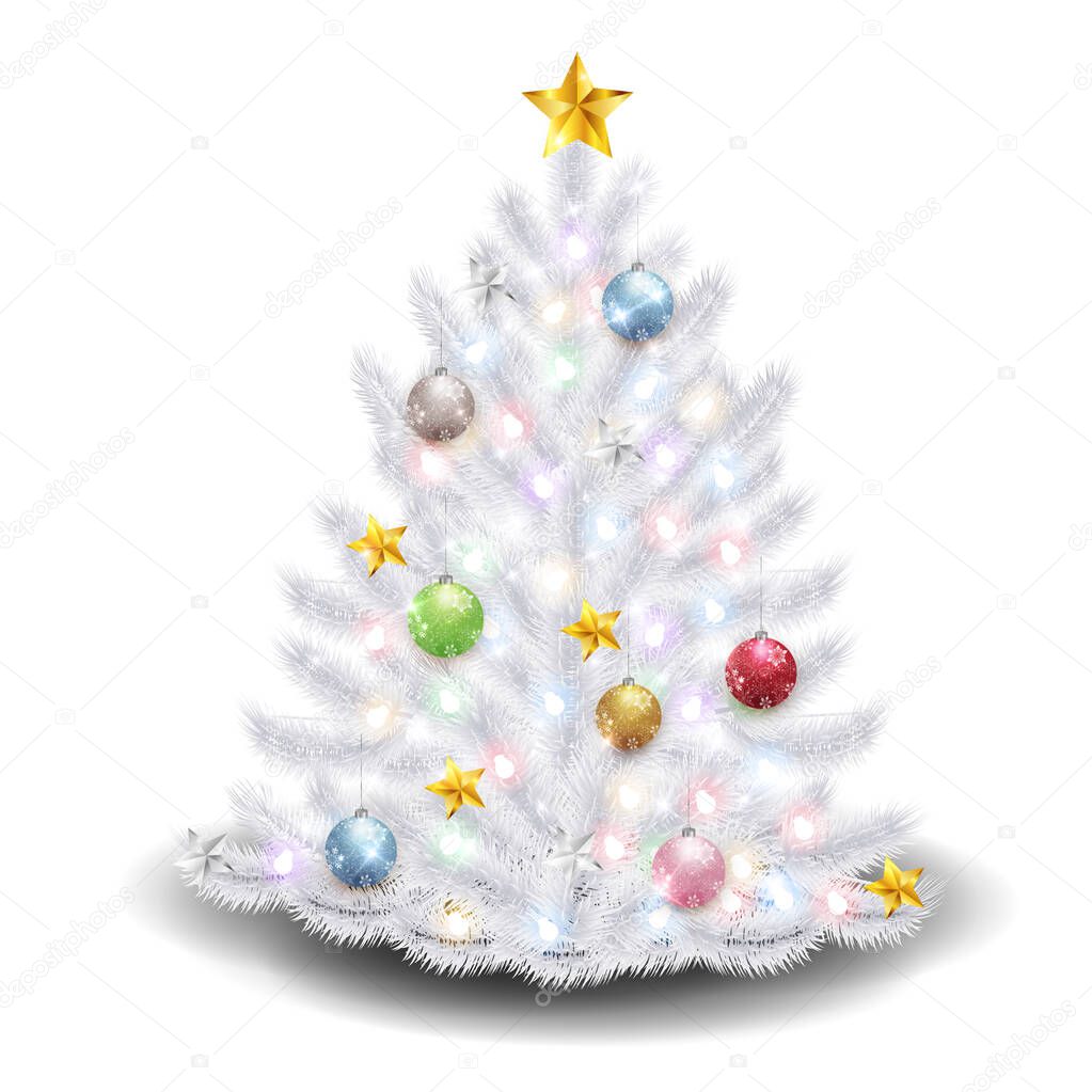 Christmas fir tree winter icon