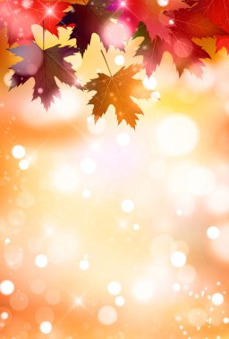 Sonbahar yaprakları akçaağaç sonbahar arkaplanı