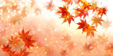 Sonbahar yaprakları akçaağaç sonbahar arkaplanı