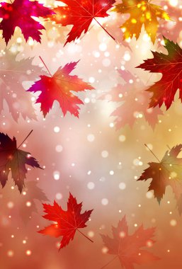 Sonbahar yaprakları akçaağaç sonbahar arkaplanı