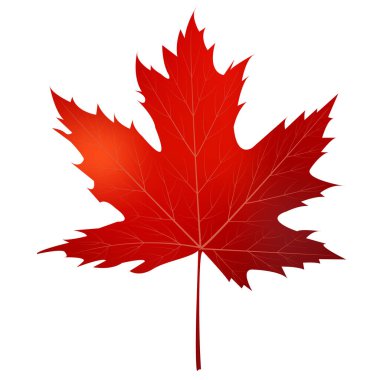 Sonbahar yaprakları akçaağaç sonbahar simgesi