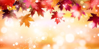 Sonbahar yaprakları akçaağaç sonbahar arkaplanı