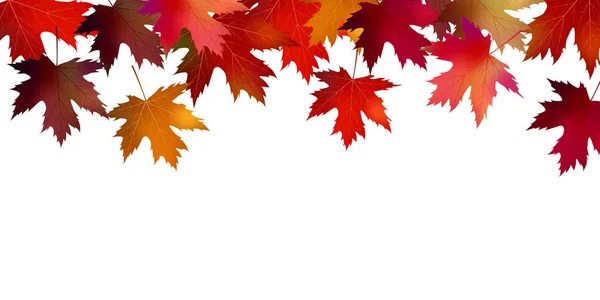 Autumn Leaves Maple Autumn Background — Stock Vector