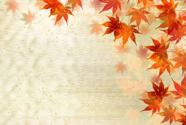 Sonbahar yaprakları akçaağaç sonbahar arkaplanı