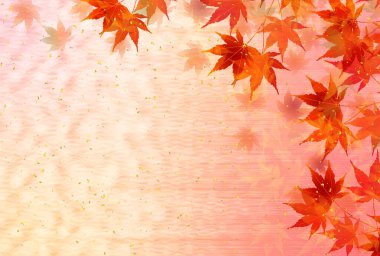 Sonbahar yaprakları akçaağaç sonbahar arkaplanı