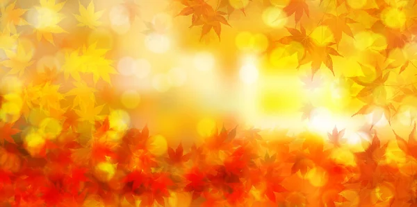 Otoño Hojas Arce Fondo Otoño — Vector de stock