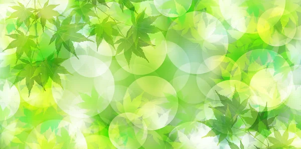 Frisch Grüner Ahorn Aquarell Hintergrund — Stockvektor