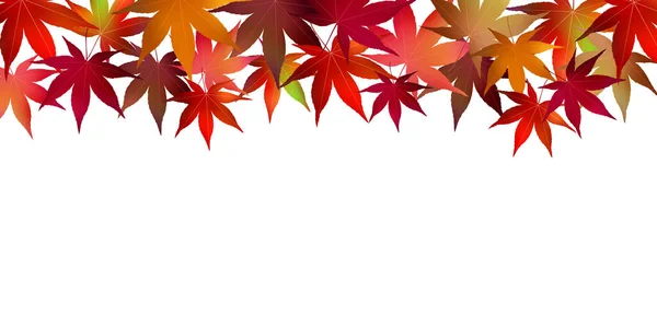 秋天的叶子枫树秋天的背景 — 图库矢量图片