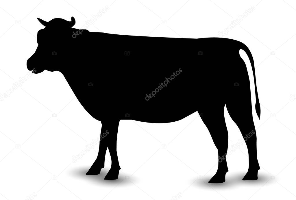 Cow New Year card Silhouette icon