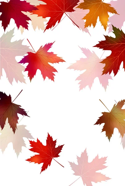 Otoño Hojas Arce Fondo Otoño — Vector de stock