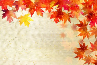 Sonbahar yaprakları akçaağaç sonbahar arkaplanı