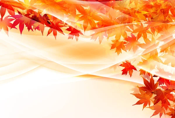 Otoño Hojas Arce Fondo Otoño — Vector de stock